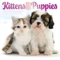 image Kittens and Puppies 2027 Wall Calendar Main Product Image