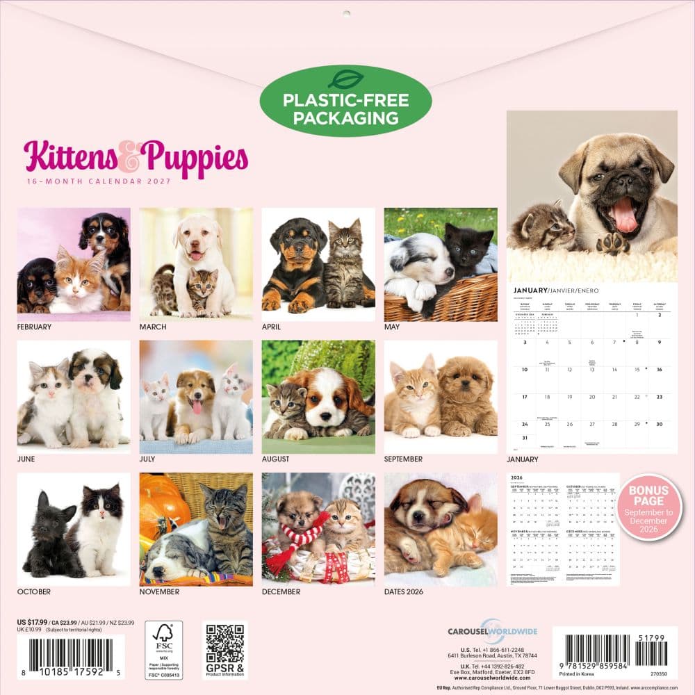 Kittens and Puppies 2027 Wall Calendar First Alternate Image