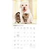 image Kittens and Puppies 2027 Wall Calendar Second Alternate Image