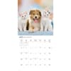 image Kittens and Puppies 2027 Wall Calendar Third Alternate Image