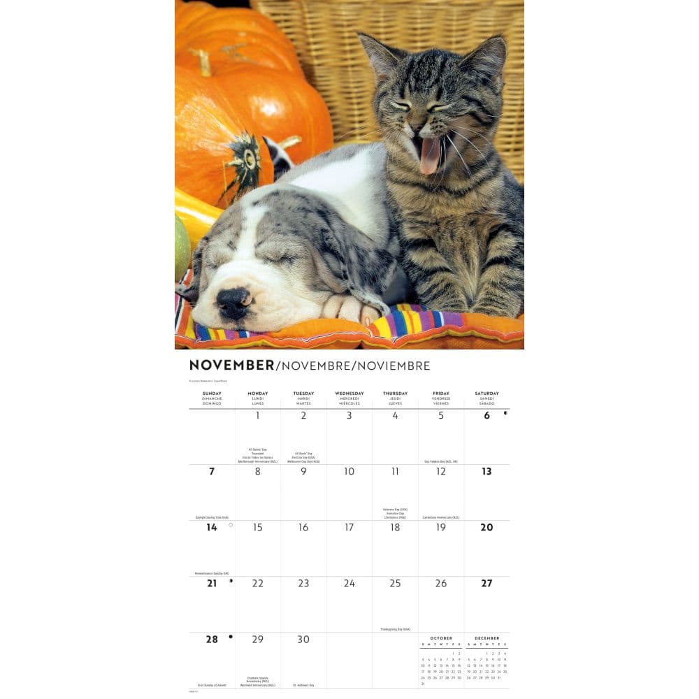 Kittens and Puppies 2027 Wall Calendar Fourth Alternate Image