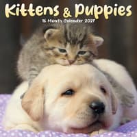 image Kittens and Puppies 2027 Mini Wall Calendar Main Product Image