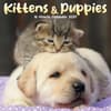 image Kittens and Puppies 2027 Mini Wall Calendar Main Product Image