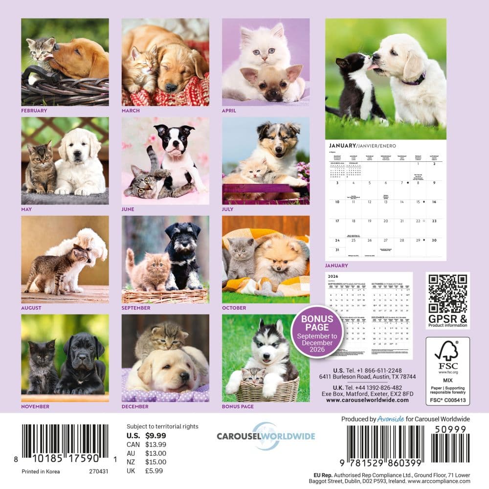 Kittens and Puppies 2027 Mini Wall Calendar First Alternate Image