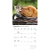 image Kittens and Puppies 2027 Mini Wall Calendar Second Alternate Image
