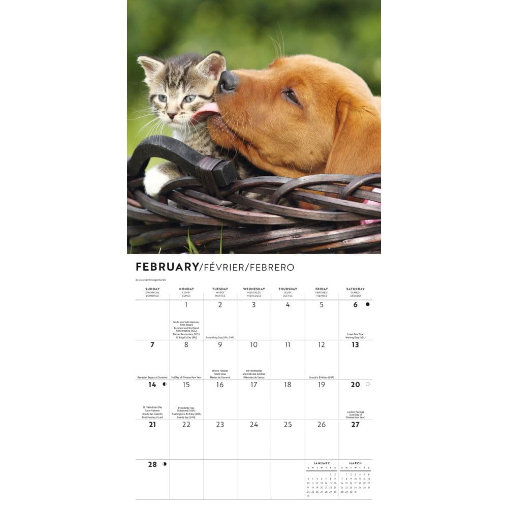 Kittens and Puppies 2027 Mini Wall Calendar Second Alternate Image