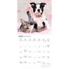 image Kittens and Puppies 2027 Mini Wall Calendar Third Alternate Image