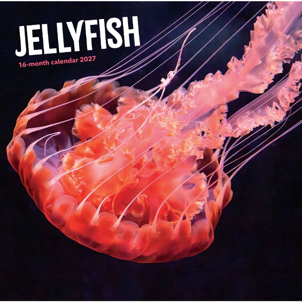 Jellyfish 2027 Wall Calendar Main Product Image