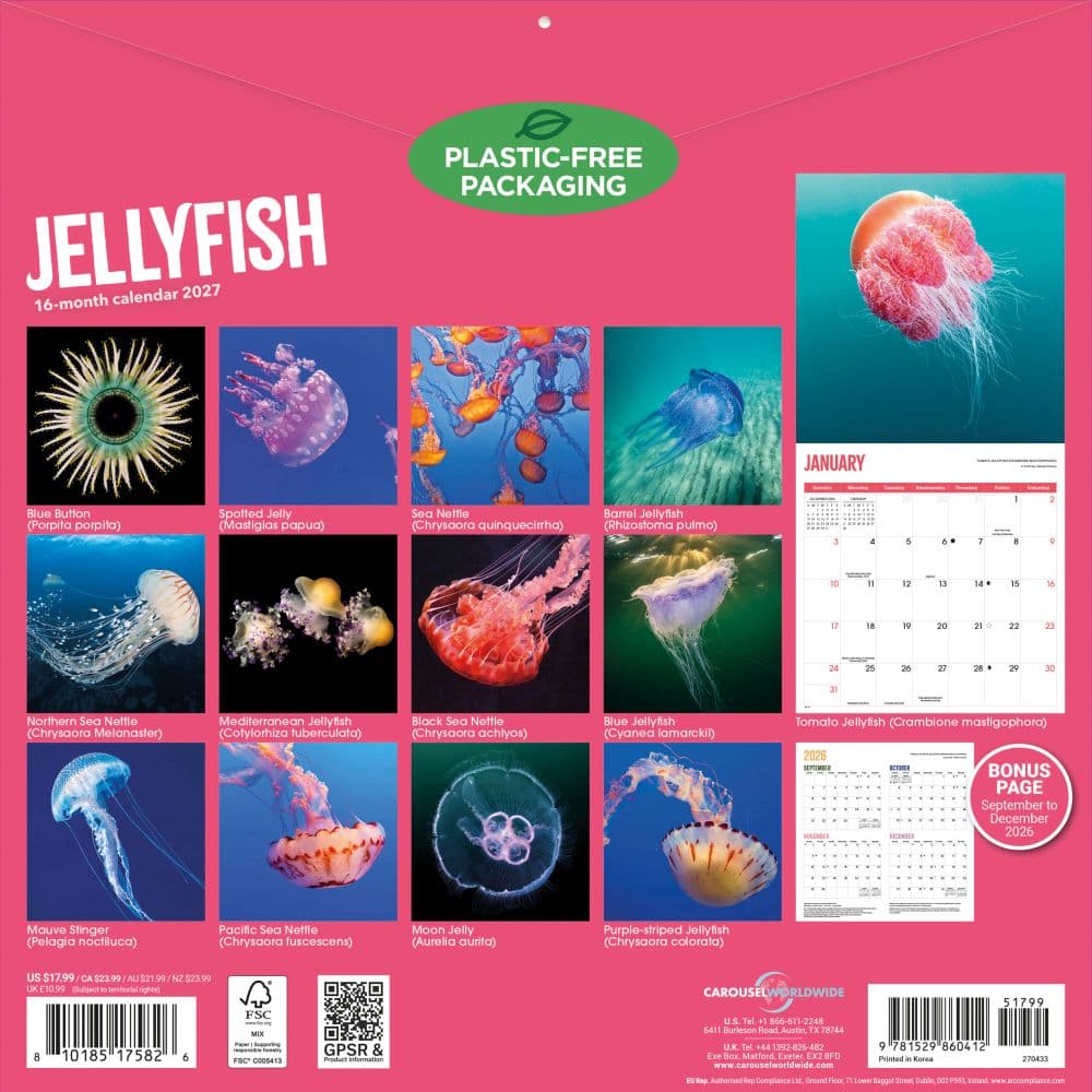 Jellyfish 2027 Wall Calendar First Alternate Image
