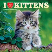 image I Love Kittens 2027 Wall Calendar Main Product Image