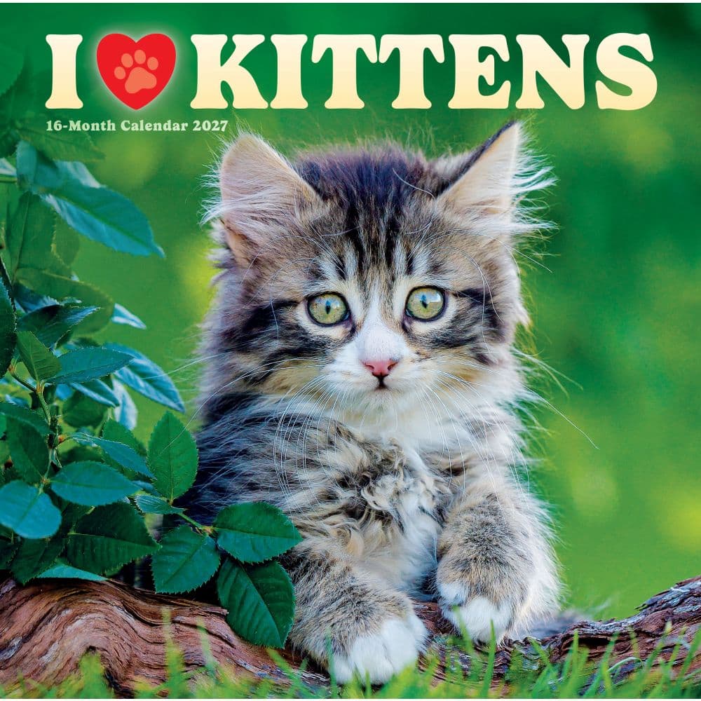 image I Love Kittens 2027 Wall Calendar Main Product Image