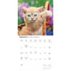 image Kittens I Love 2027 Wall Calendar Second Alternate Image