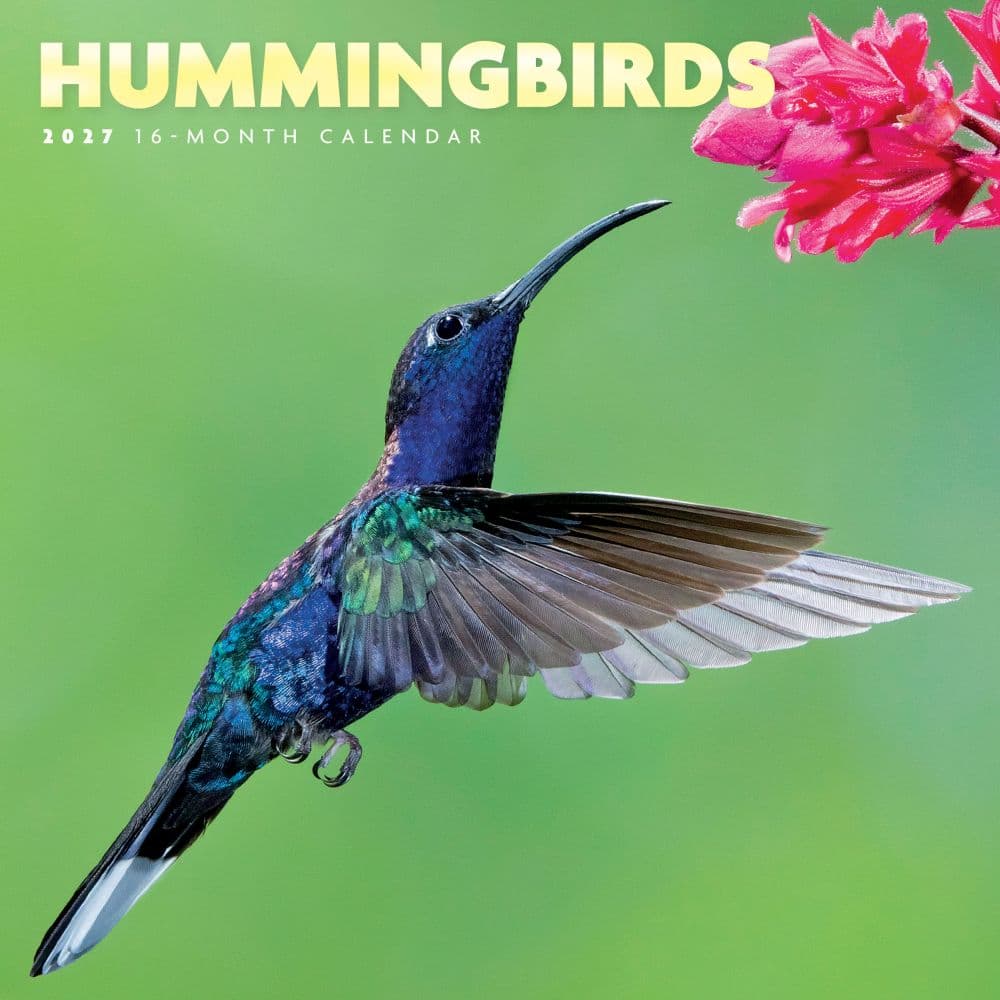 Hummingbirds 2027 Mini Wall Calendar Main Product Image