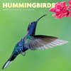 image Hummingbirds 2027 Mini Wall Calendar Main Product Image
