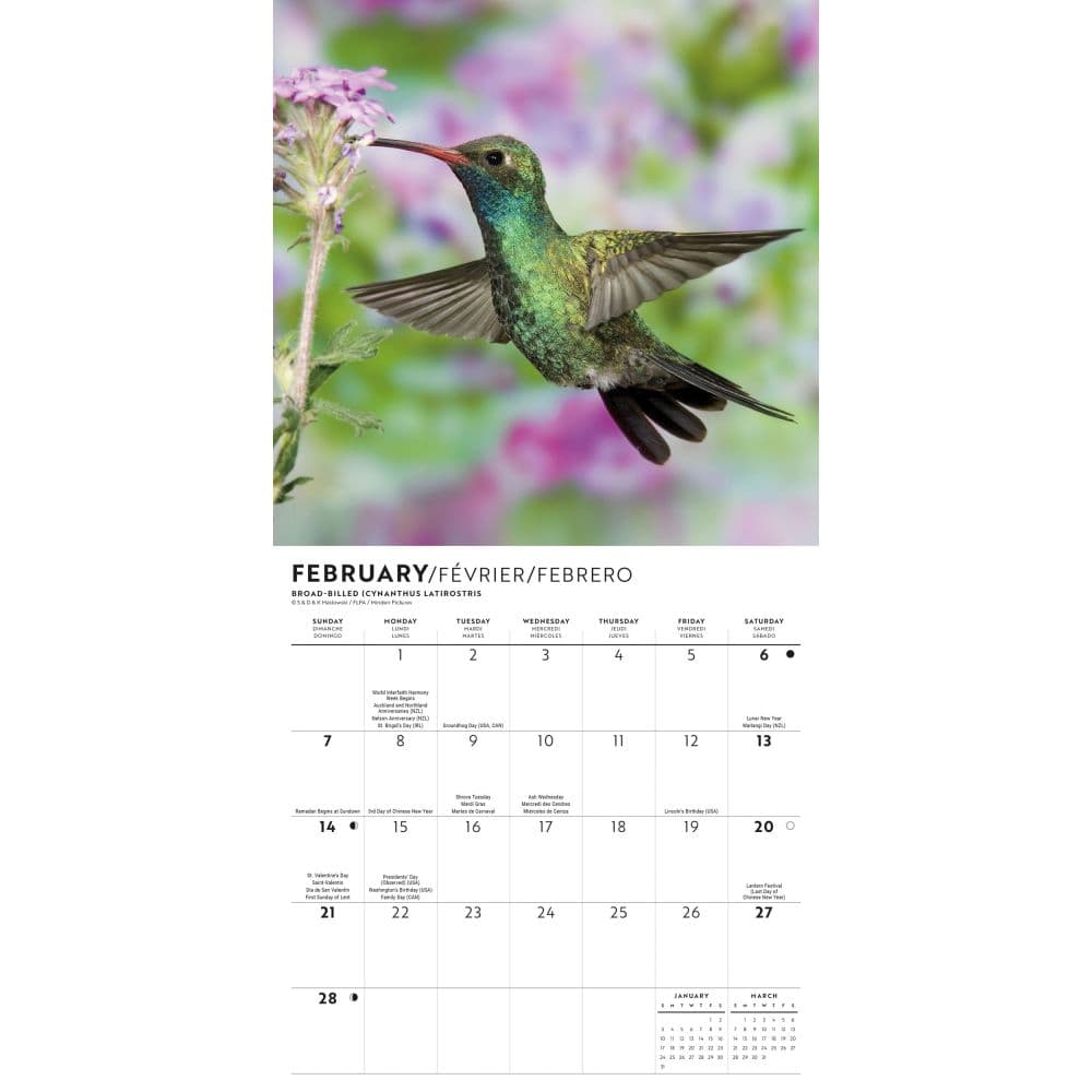 Hummingbirds 2027 Mini Wall Calendar Second Alternate Image
