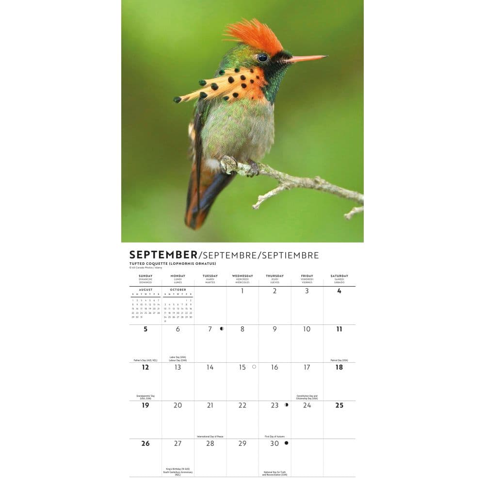 Hummingbirds 2027 Mini Wall Calendar Third Alternate Image