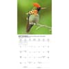 image Hummingbirds 2027 Mini Wall Calendar Third Alternate Image