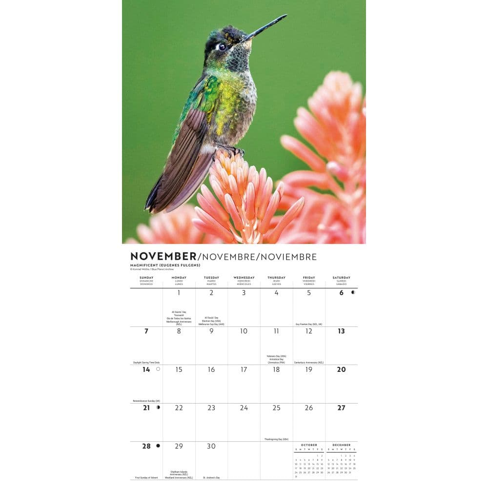 Hummingbirds 2027 Mini Wall Calendar Fourth Alternate Image