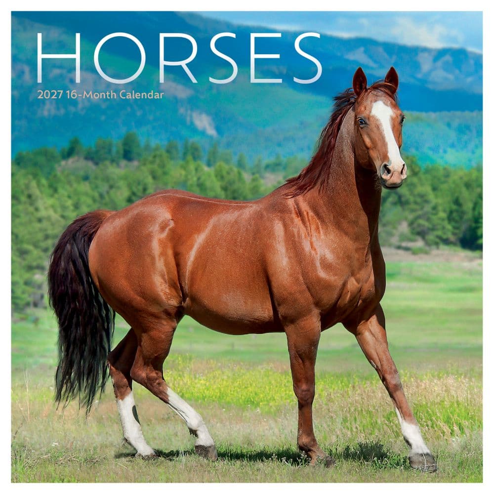 Horses 2027 Mini Wall Calendar Main Product Image