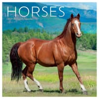 image Horses 2027 Mini Wall Calendar Main Product Image