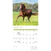 image Horses 2027 Mini Wall Calendar Second Alternate Image