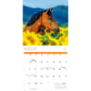 image Horses 2027 Mini Wall Calendar Third Alternate Image