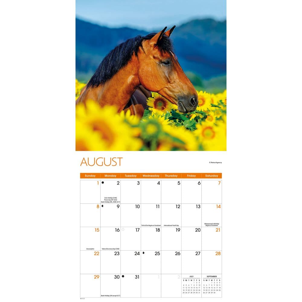 Horses 2027 Mini Wall Calendar Third Alternate Image