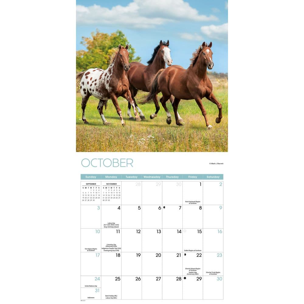 Horses 2027 Mini Wall Calendar Fourth Alternate Image