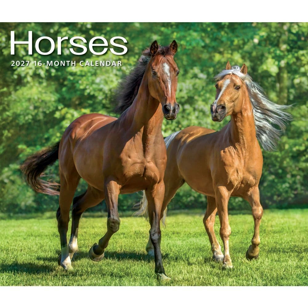 Horses 2027 Deluxe Wall Calendar Main Product Image