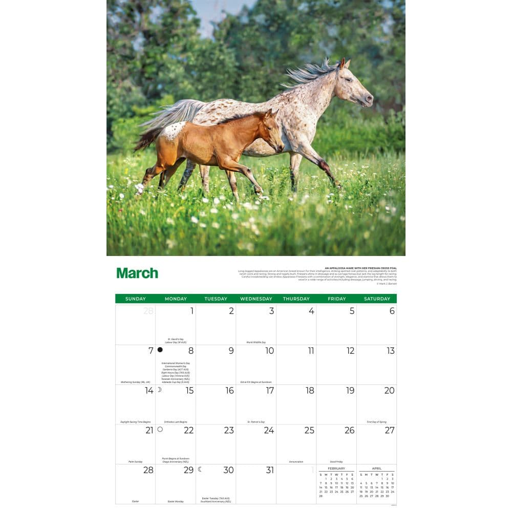Horses 2027 Deluxe Wall Calendar Second Alternate Image