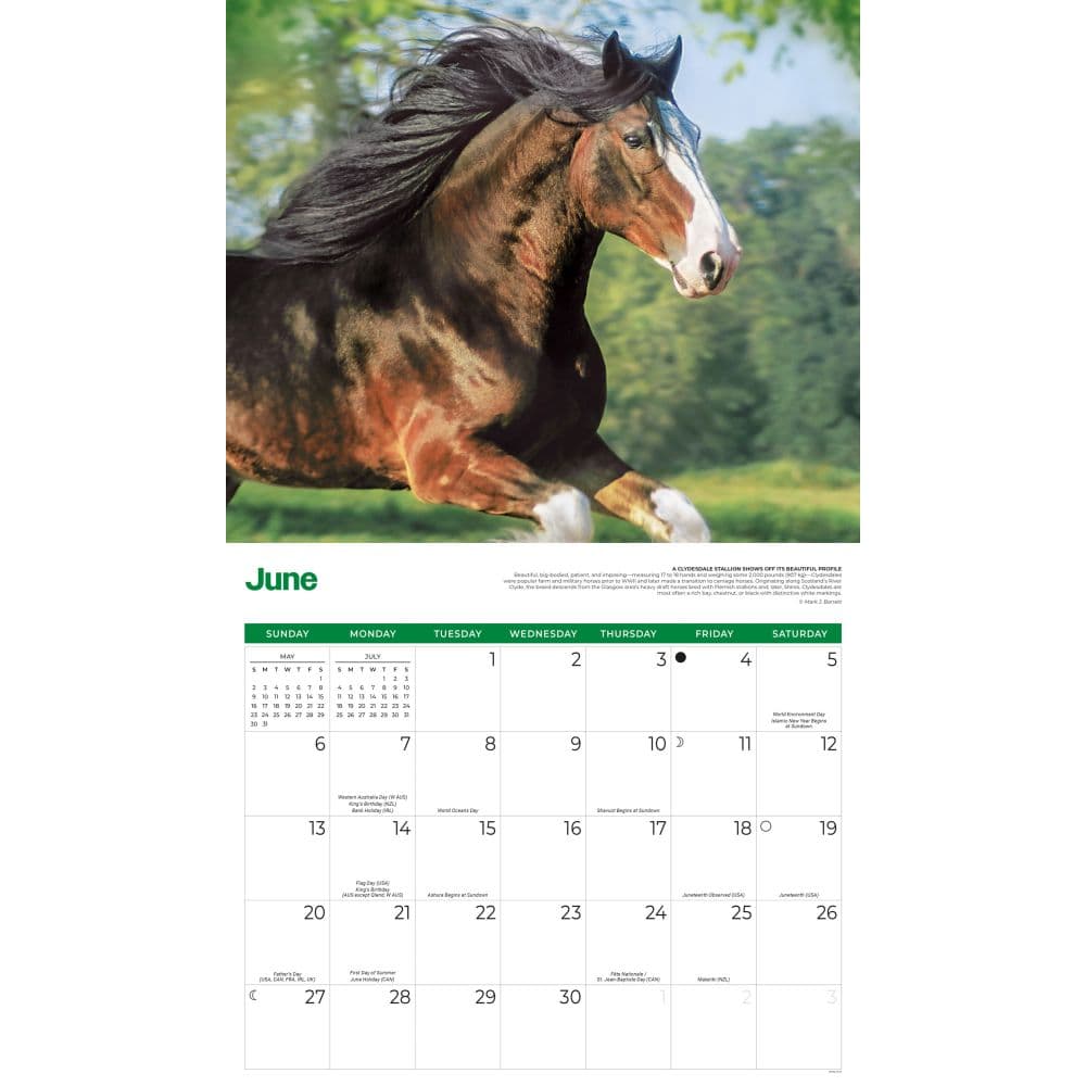Horses 2027 Deluxe Wall Calendar Third Alternate Image