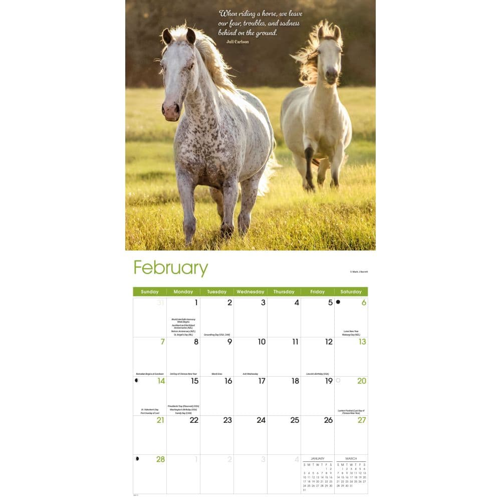 Horse Lovers 2027 Wall Calendar Second Alternate Image