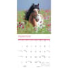 image Horse Lovers 2027 Wall Calendar Third Alternate Image
