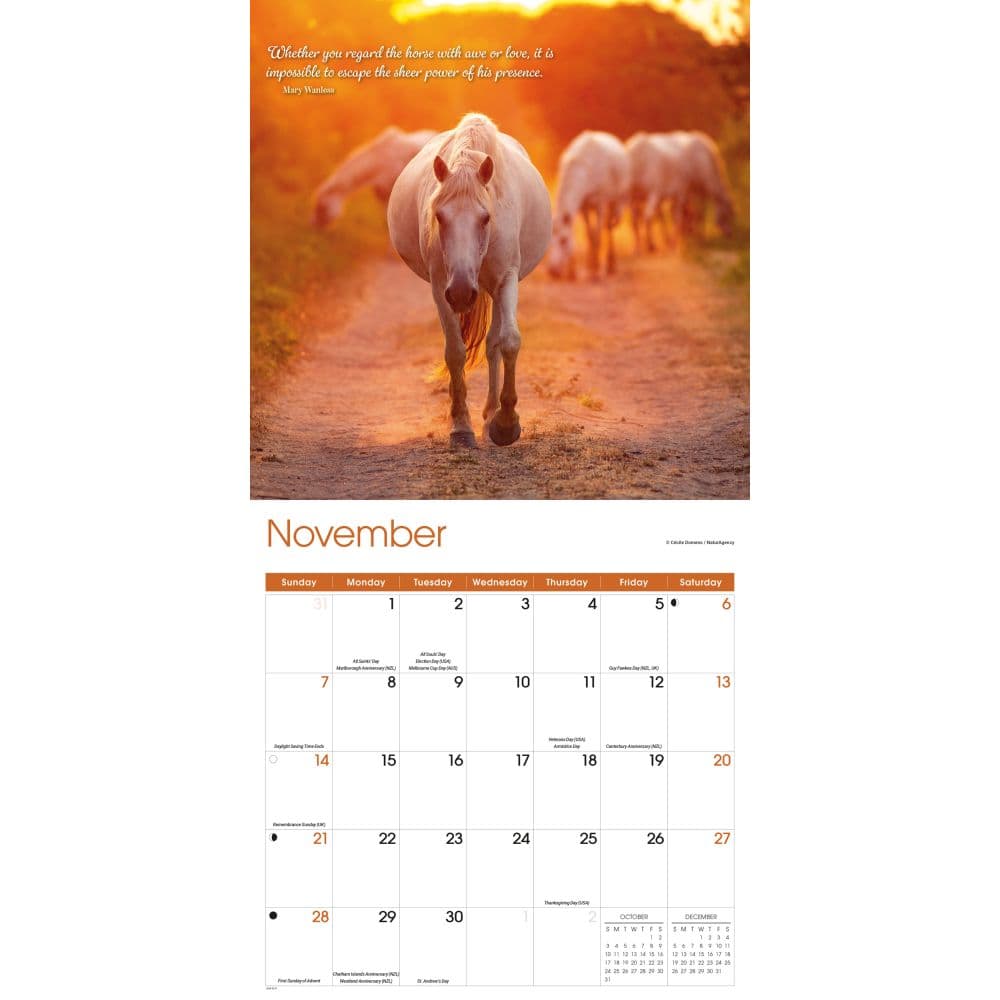 Horse Lovers 2027 Wall Calendar Fourth Alternate Image