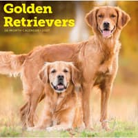 image Golden Retrievers 2027 Wall Calendar Main Product Image