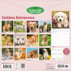 image Golden Retrievers 2027 Wall Calendar First Alternate Image