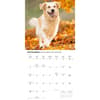 image Golden Retrievers 2027 Wall Calendar Fourth Alternate Image