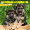 image German Shepherd Puppies 2027 Wall Calendar Main Product Image