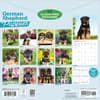 image German Shepherd Puppies 2027 Wall Calendar First Alternate Image