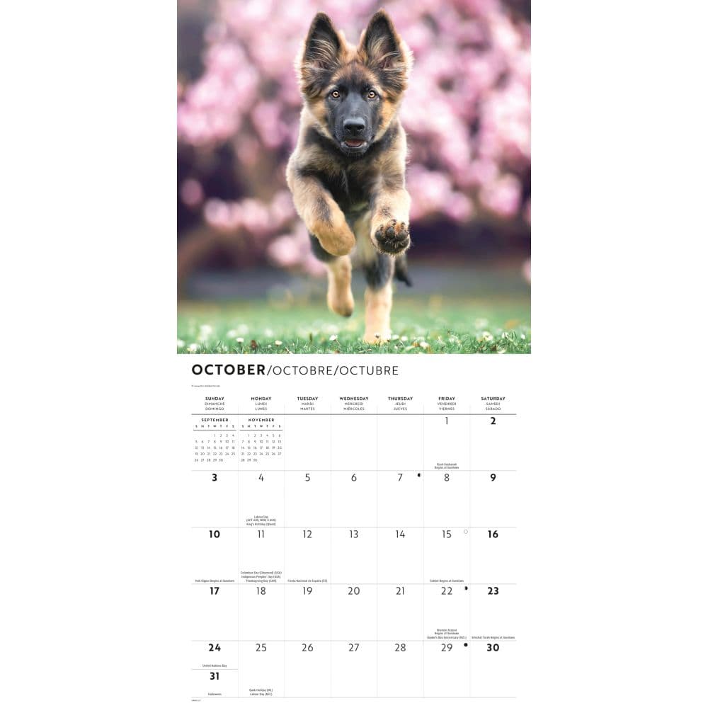 German Shepherd Puppies 2027 Wall Calendar Fourth Alternate Image