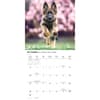 image German Shepherd Puppies 2027 Wall Calendar Fourth Alternate Image