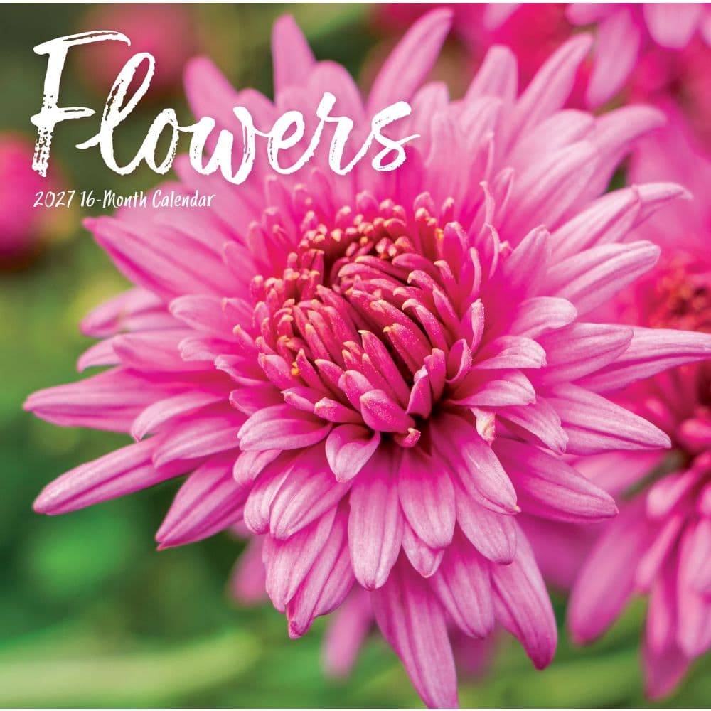Flowers 2027 Wall Calendar Main Product Image