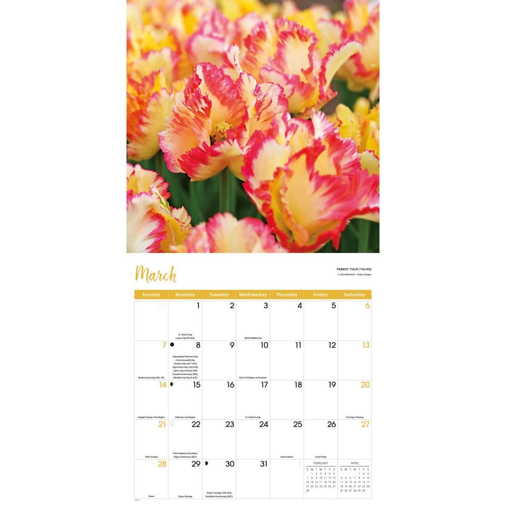 Flowers 2027 Wall Calendar Second Alternate Image