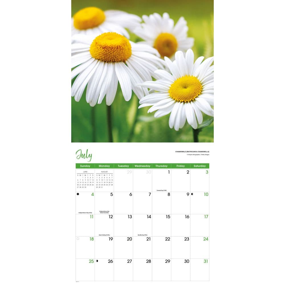 Flowers 2027 Wall Calendar Third Alternate Image
