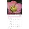 image Flowers 2027 Wall Calendar Fourth Alternate Image