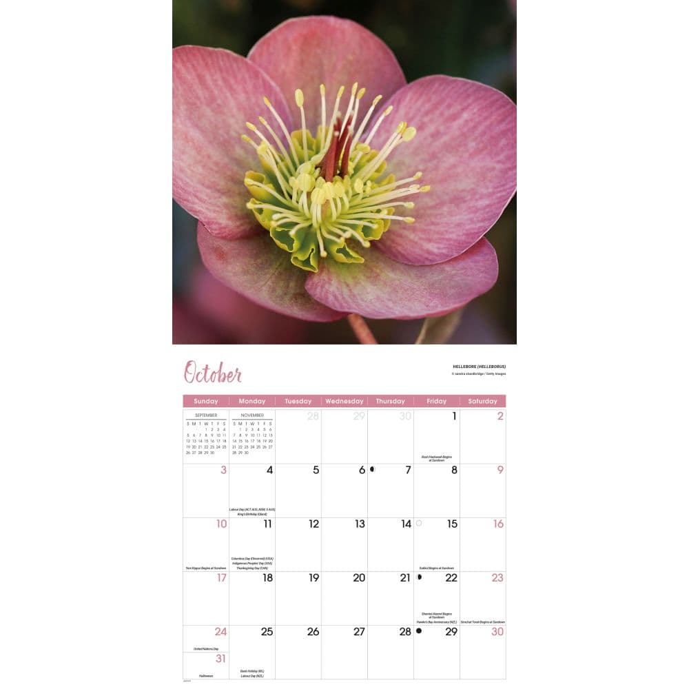 Flowers 2027 Wall Calendar Fourth Alternate Image