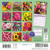 image Flowers 2027 Mini Wall Calendar First Alternate Image