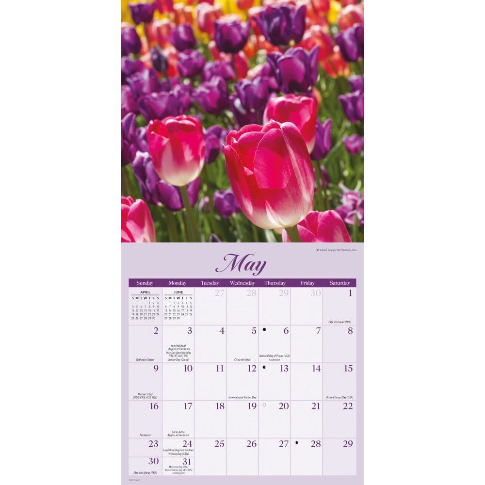 Flowers 2027 Mini Wall Calendar Third Alternate Image