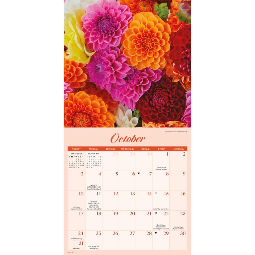 Flowers 2027 Mini Wall Calendar Fourth Alternate Image