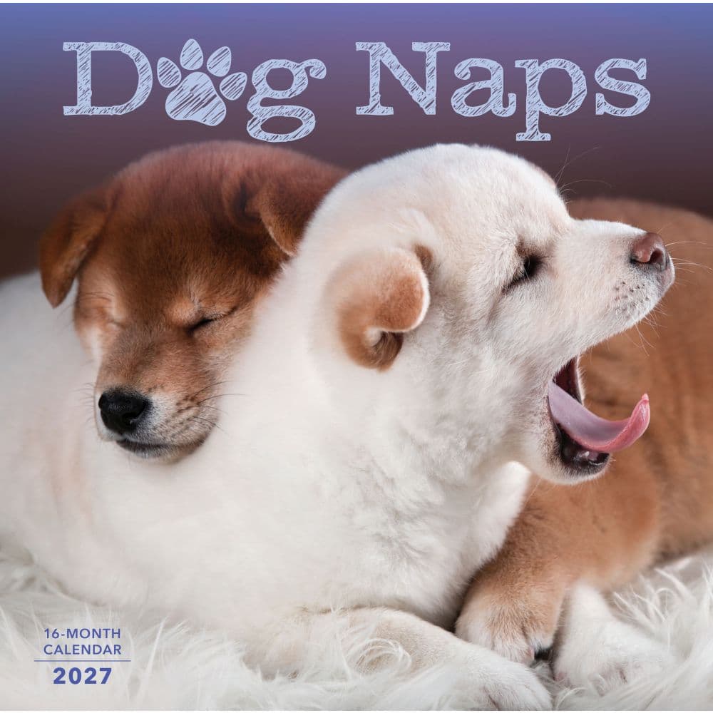 Dog Naps 2027 Wall Calendar Main Product Image